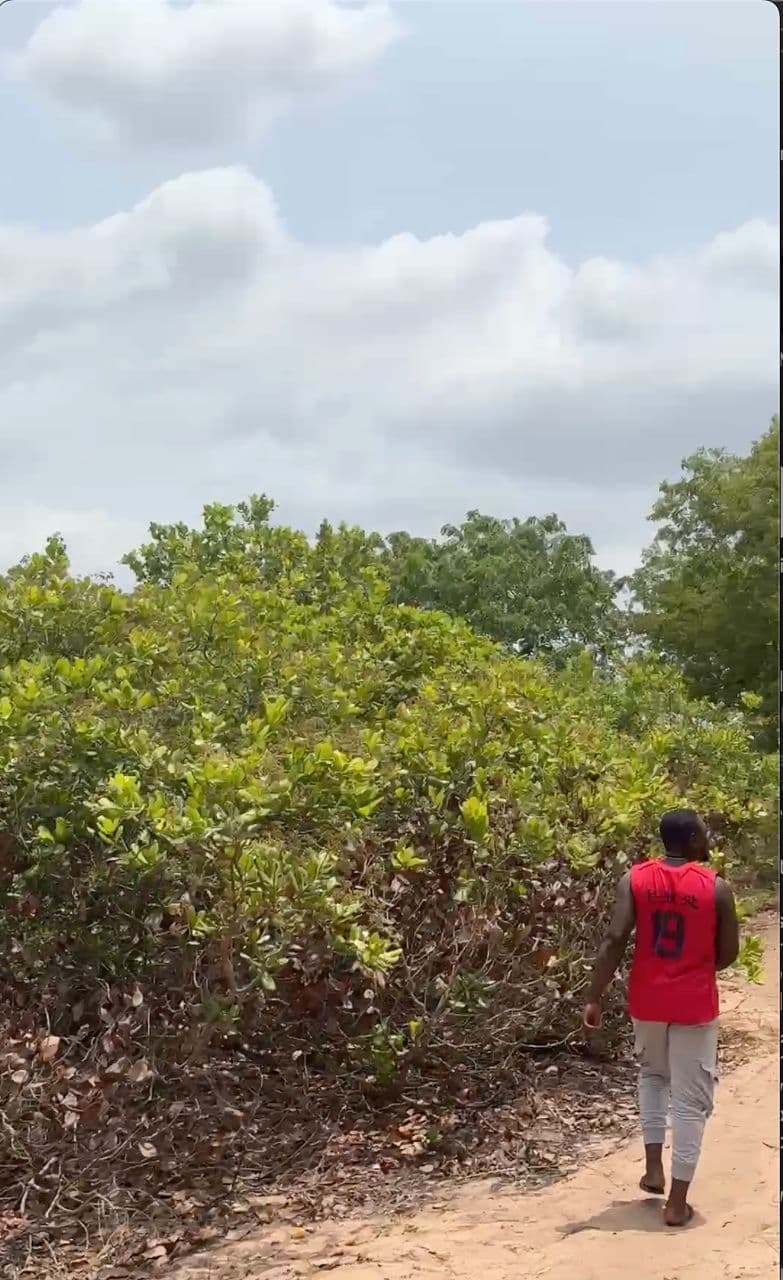 Ginakev Farms Gallery Image 3