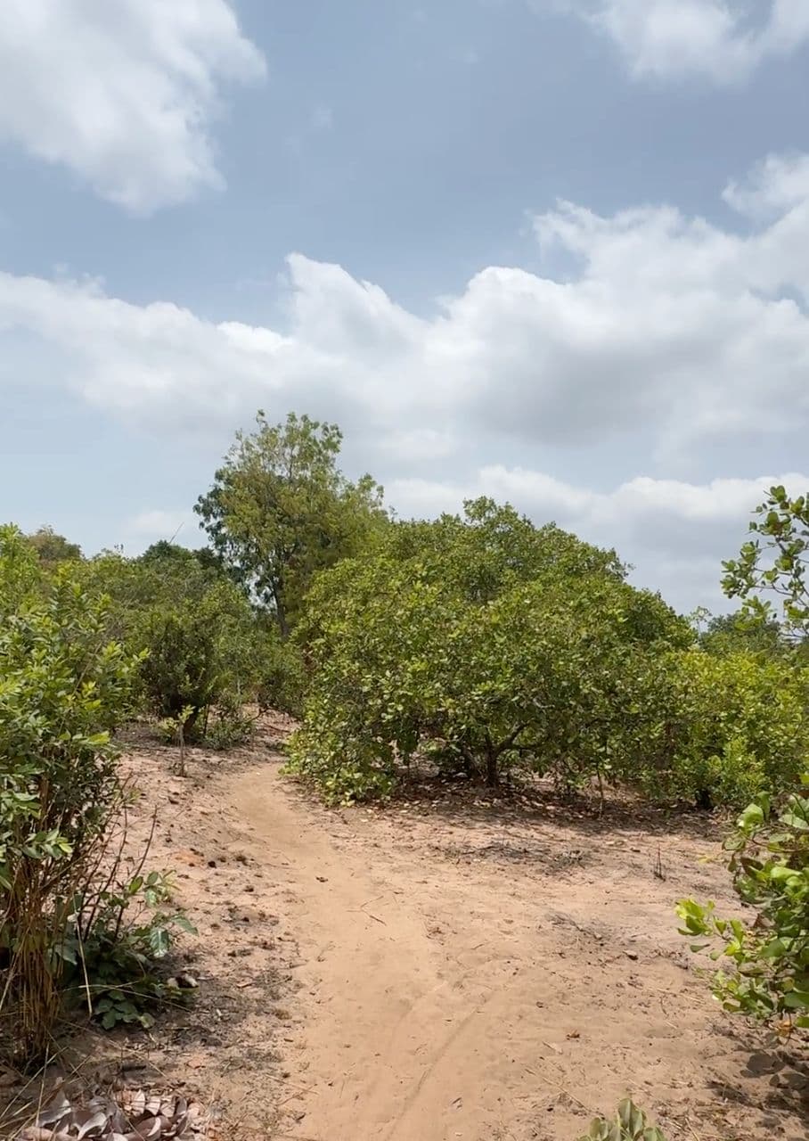 Ginakev Farms Gallery Image 5