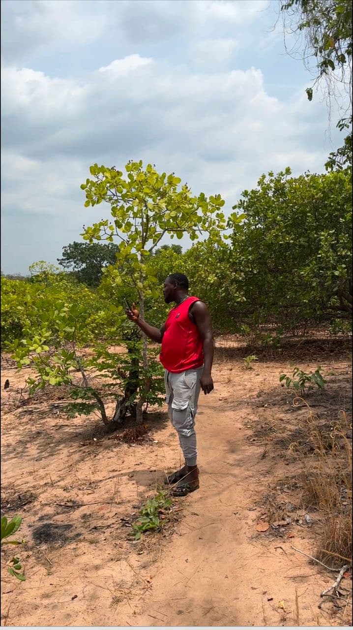 Achievement 2 Image 2