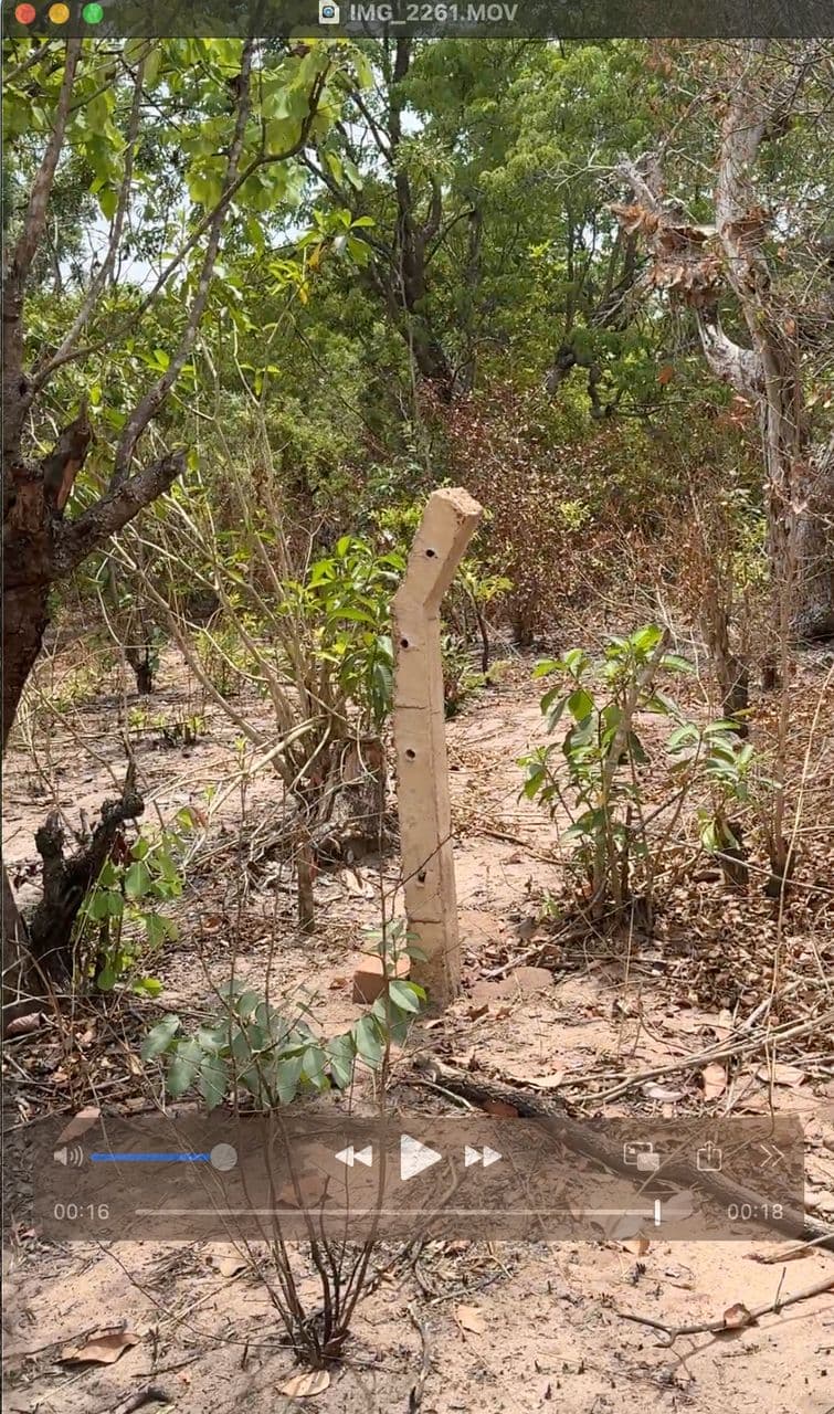 Ginakev Farms Gallery Image 8