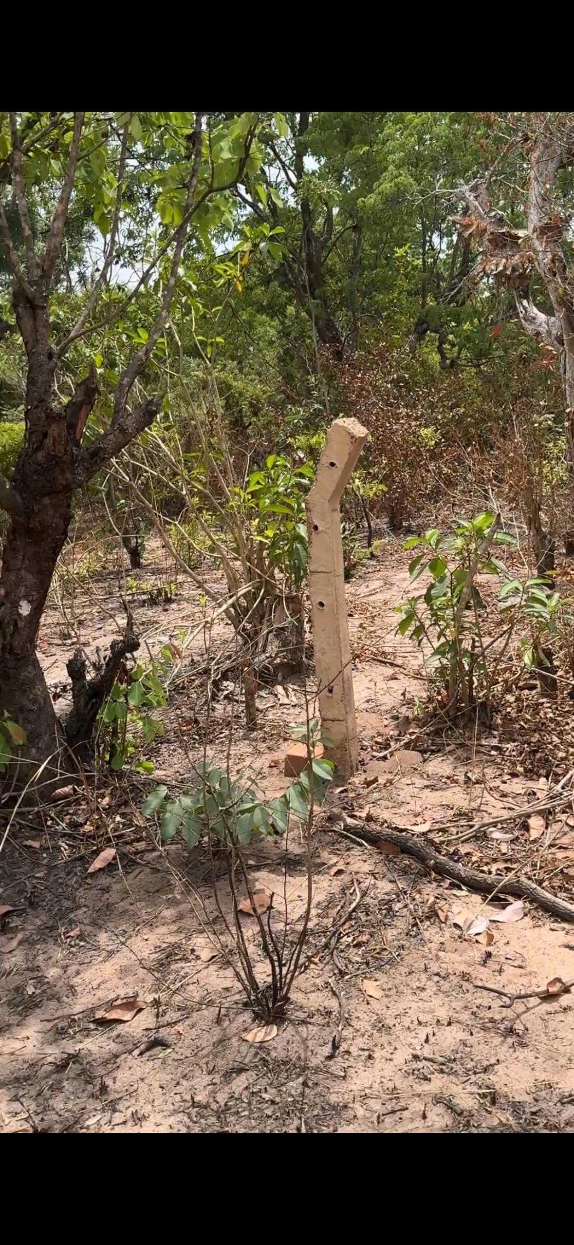 Achievement 1 Image 2